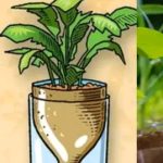 How to make a rotating irrigation system using plastic bottles – 10 cents is enough