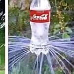 Eco-Friendly Gardening Hacks: Clever Ways to Reuse Plastic Bottles